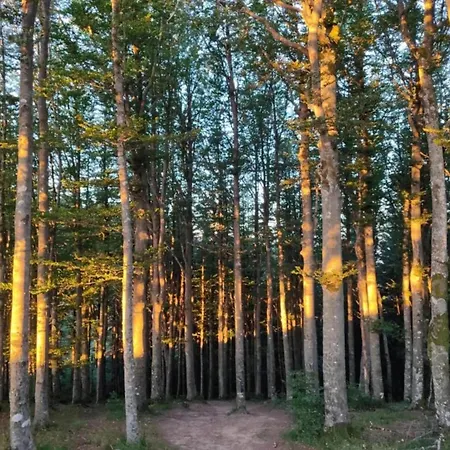 Stavelot With Garden *